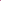 Passionfruit Daily Electrolyte Drink Mix