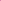 Pink Lemonade Daily Electrolyte Drink Mix